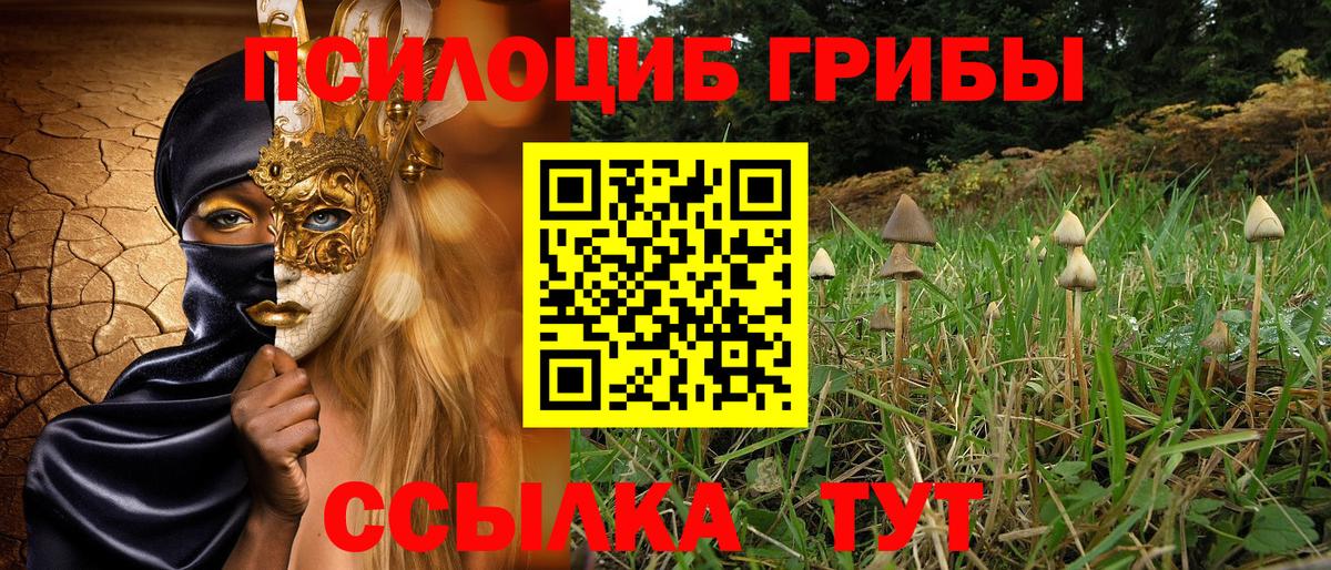 Псилоцибиновые грибы Psilocybine cubensis  где найти наркотики  Мегион  Вход с VPN 