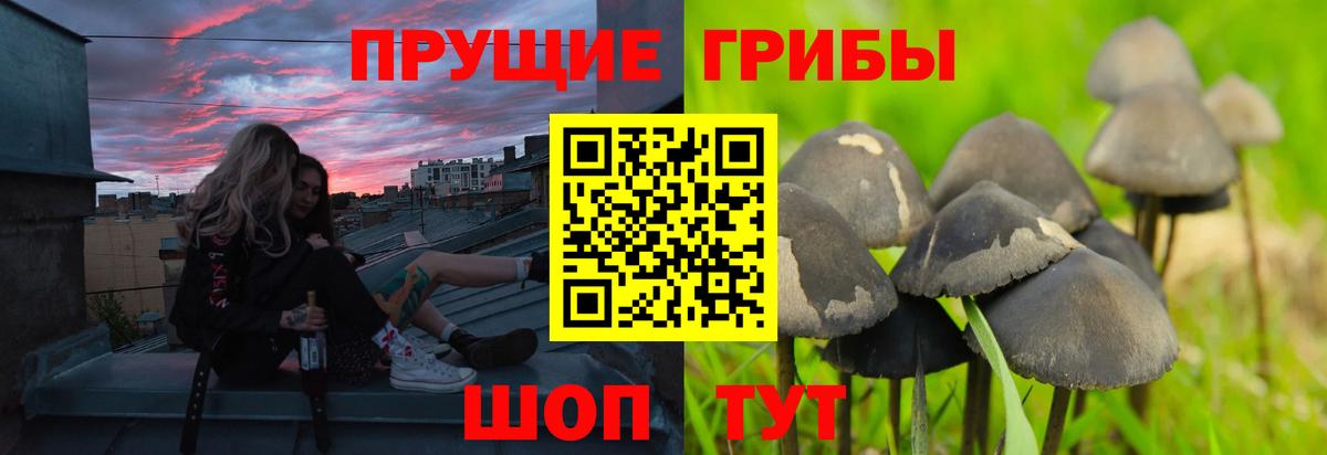 Галлюциногенные грибы Magic Shrooms Мегион